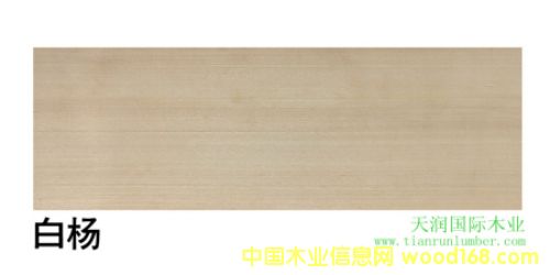 �����ח� American aspen��Ԕ����B