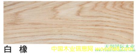 ��  �� White Oak   