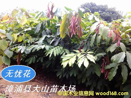 [��] �o�n�����o�n��������䣩