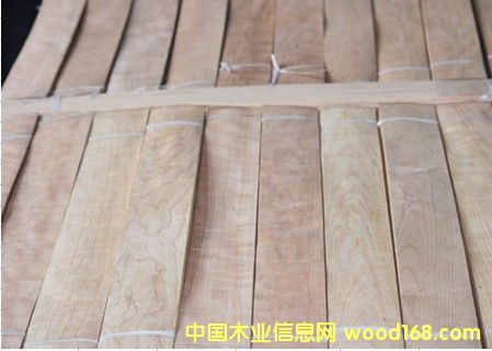 0.6���ҵذ���