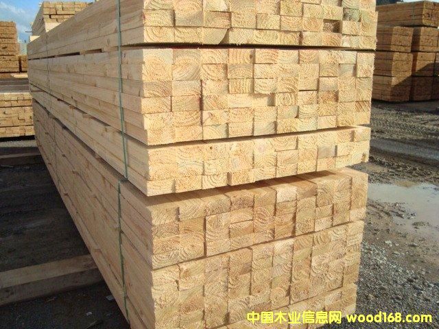 �c(di��n)���鿴��ľľ��Ŵ�DƬ