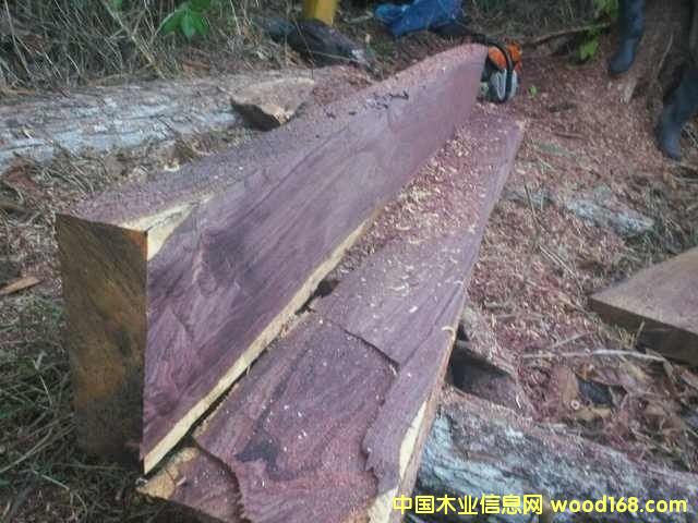 ΢���S̴�����ϵ�Ԕ��(x��)��B