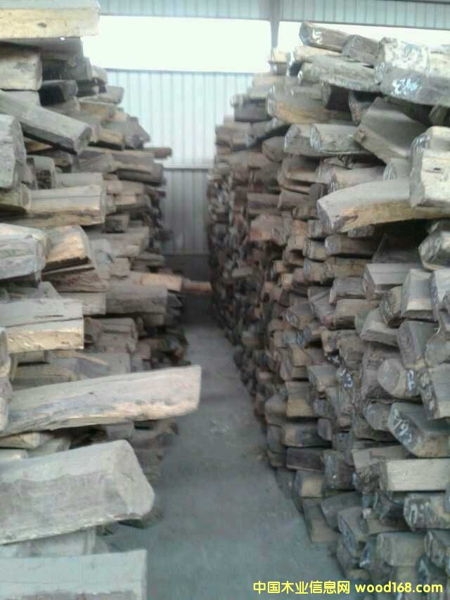 �ϓ�t��֦��Ԕ��(x��)��B