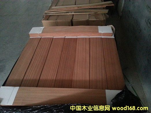 [��] ɳ�����ذ�ľƤ