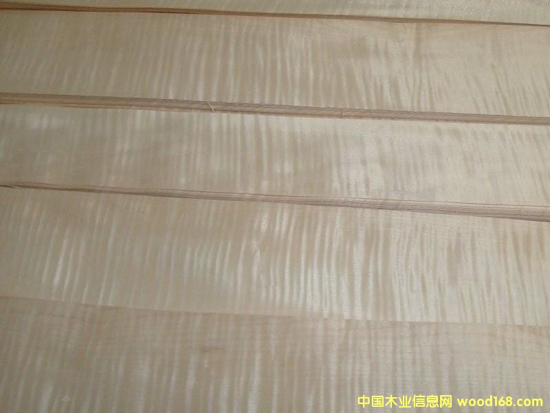 ��ӰľƤ��Ԕ��(x��)��B