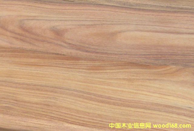 [��] ������֦ľƤ ��(y��u)�|(zh��)��Ȼ���FľƤ