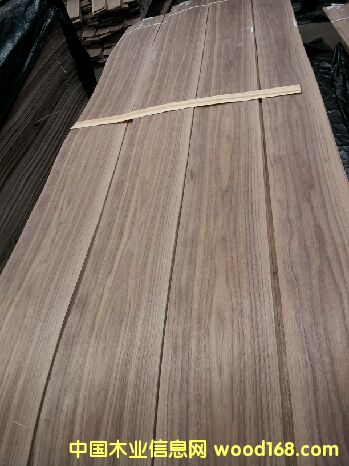 �ں���ɽ�y�Ҿ�ľƤ