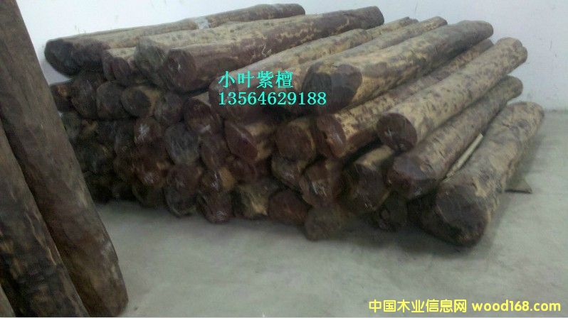 ӡ��С�~��̴��Ԕ����B