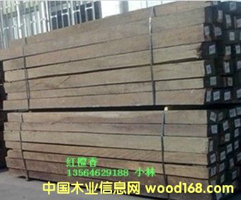 �炐�ȁ��t̴���Ԕ����B