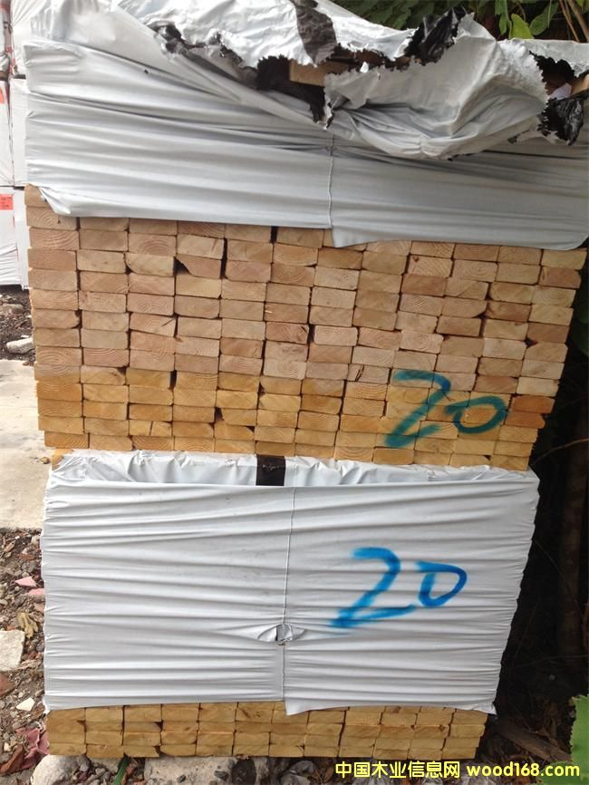 �Fɼ2����Ԕ��(x��)��B