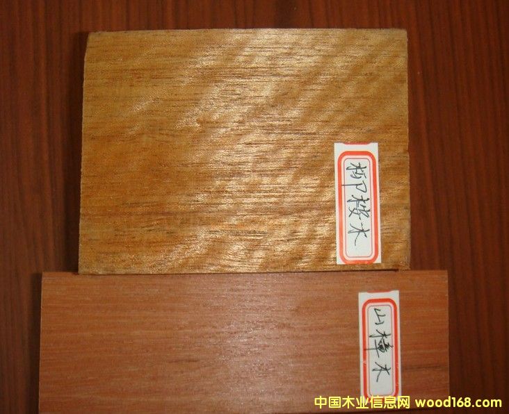 柳安木的詳細(xì)介紹