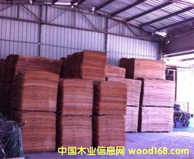 �����m����Ƥ ��� �ΰ�