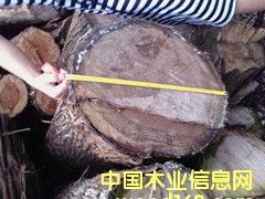 �t�İ�ľ��Ԕ��(x��)��B