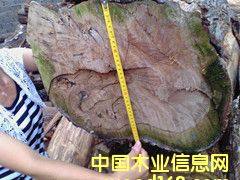 ���ľ��Ԕ��(x��)��B