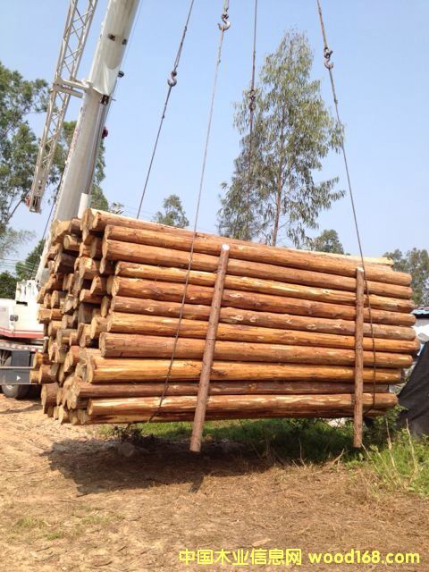 ɼľ��Ԕ��(x��)��B