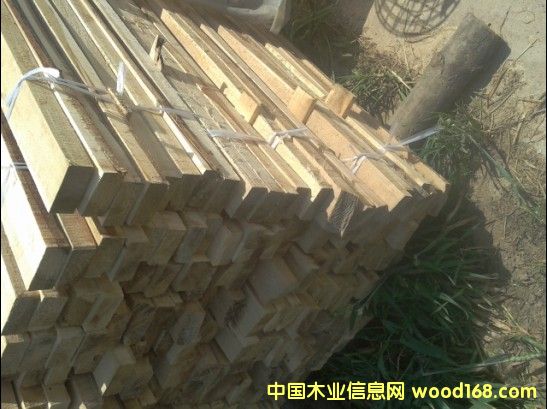 �c(di��n)���鿴���K��ľ����ľ�l�Ŵ�DƬ