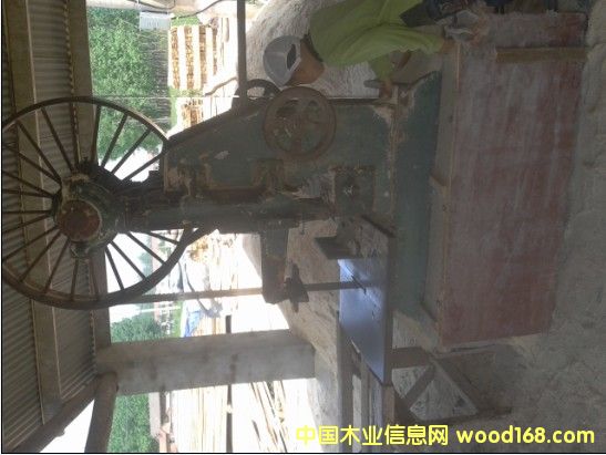 �c(di��n)���鿴��ľ������ľ�l�Ŵ�DƬ