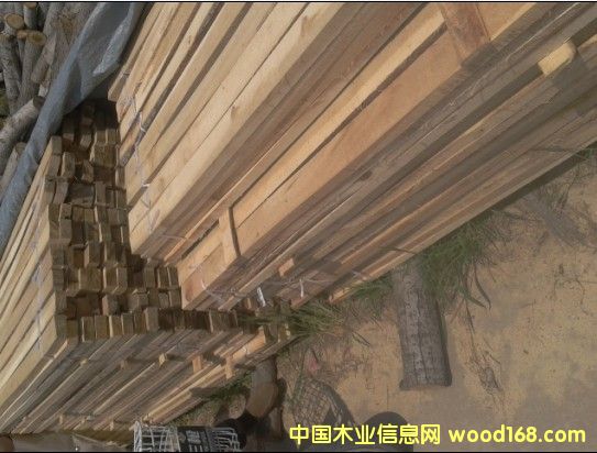 �c(di��n)���鿴ľ����ľ�l����ľ��Ŵ�DƬ