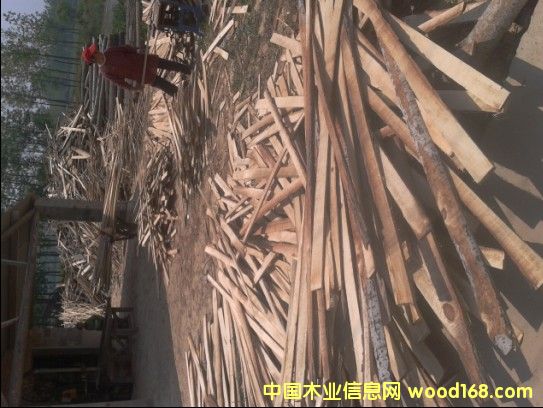 �c(di��n)���鿴���(y��ng)ľ���Ŵ�DƬ