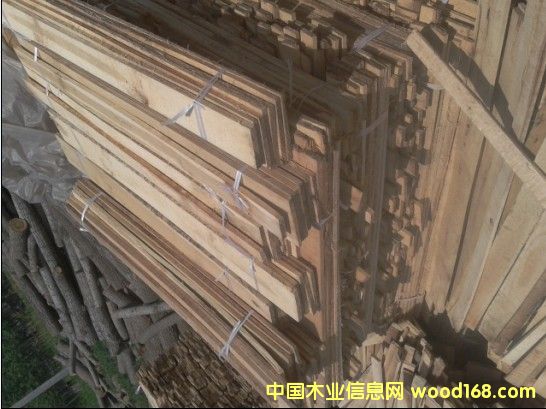 �c(di��n)���鿴��ľ�l����ľ���Ŵ�DƬ