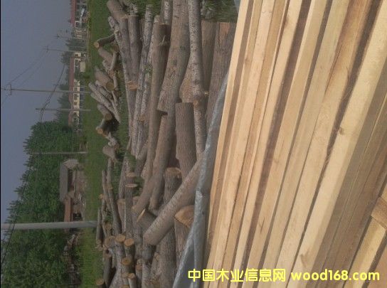 �c(di��n)���鿴��ľ�����ľ�l��ľ���Ŵ�DƬ