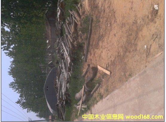 �c(di��n)���鿴���(y��ng)ľ�l�Ŵ�DƬ