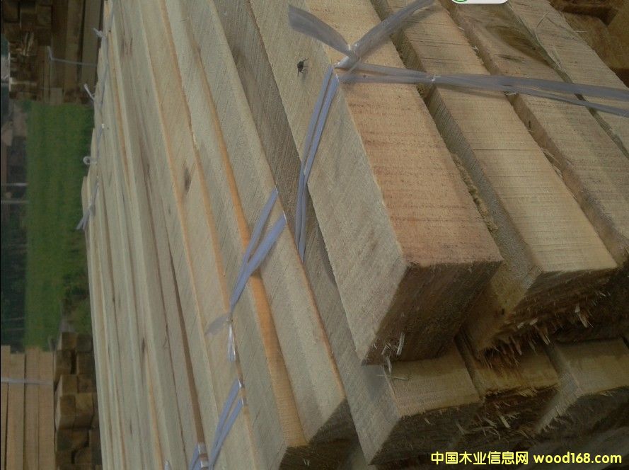 �c���鿴���ľ�������ľ�l��Ԕ���Y��