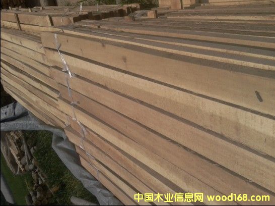 �c(di��n)���鿴���(y��ng)ľ�l�Ŵ�DƬ