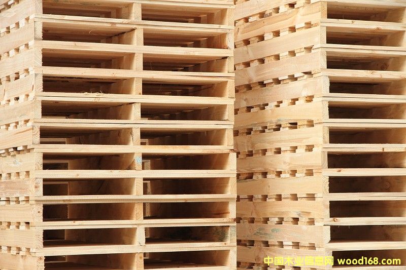 10��Ԕ����B