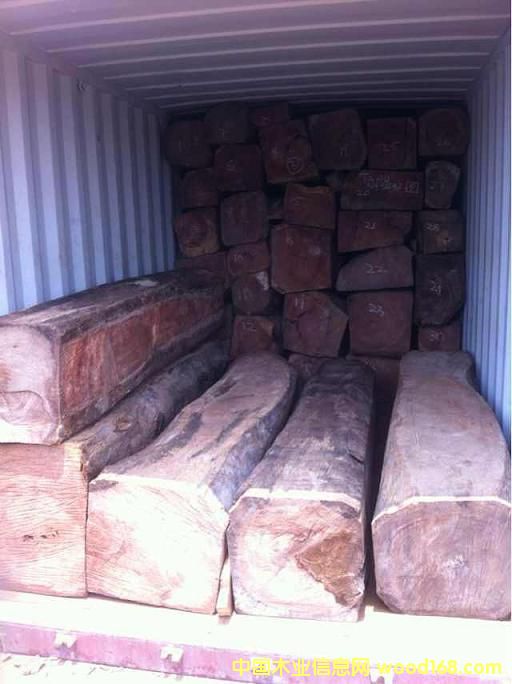 [��] ����ľ����Papao/Doussie