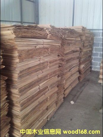 ��ľ�ΰ��Ԕ����B