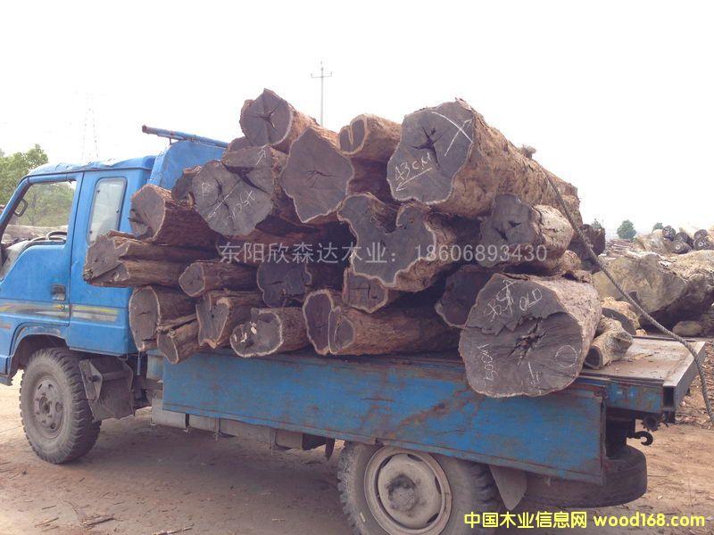 �Ϲ�̴(�|�Ǻ��S̴)1309-8��Ԕ��(x��)��B