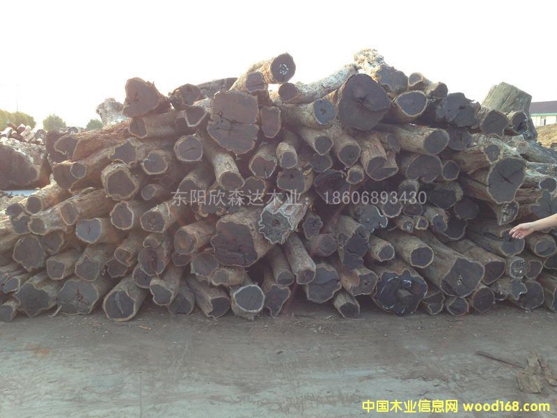 �Ϲ�̴(�|�Ǻ��S̴)1309-6��Ԕ��(x��)��B