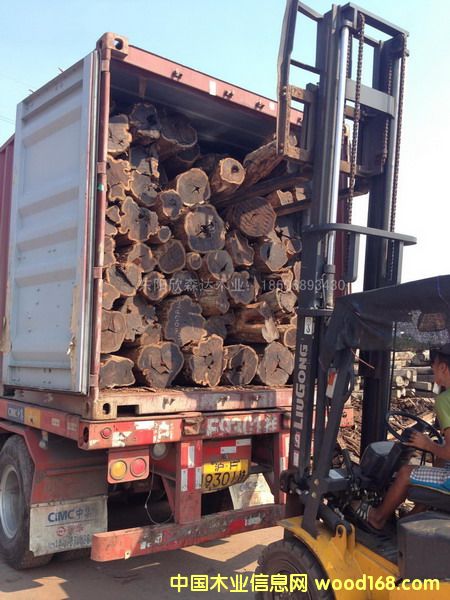 �Ϲ�̴(�|�Ǻ��S̴)1309-5��Ԕ��(x��)��B