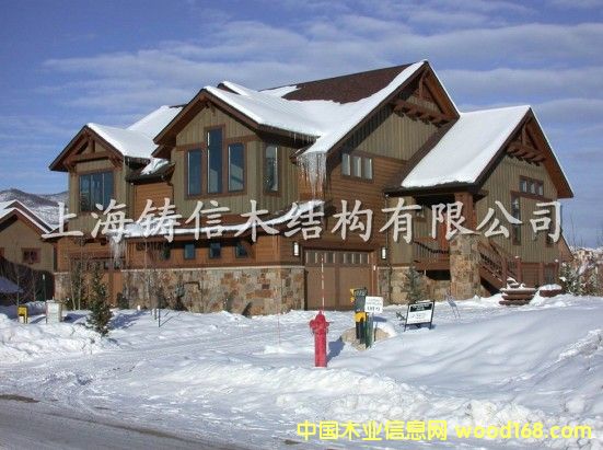 ����(y��ng)ľ�����e�������Ԕ��(x��)��B