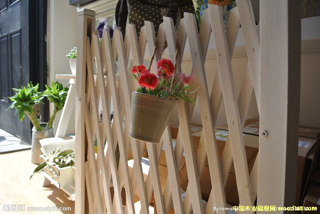 ����(y��ng)�o(h��)�ڡ�ľ�ř���������ڵ�Ԕ��(x��)��B