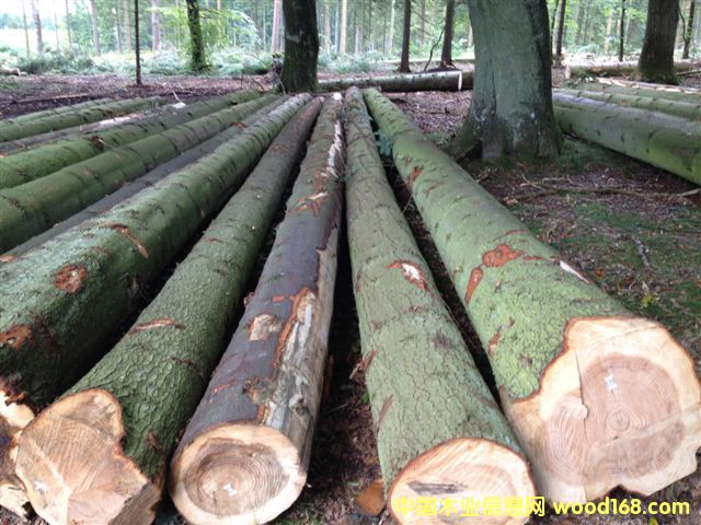 ��ɼ��Ԕ��(x��)��B