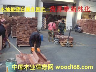 ľ�ذ�Ư��ˮ