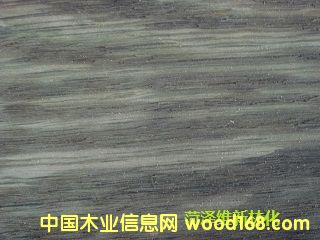 �Ҿߵذ�¹�̎�턩