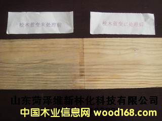 �бP�{׃������