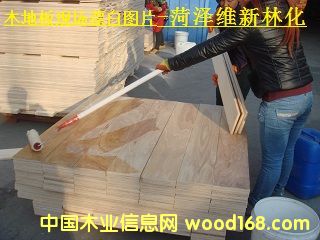 ľ�ذ�Ư��ˎ��