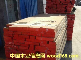 ��ľ��ľ��Ԕ��(x��)��B