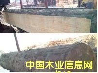 ݗ���ɵ�Ԕ��(x��)��B