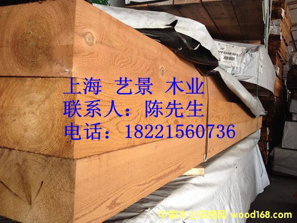 �tѩ�ɵ����c�������Ԕ����B