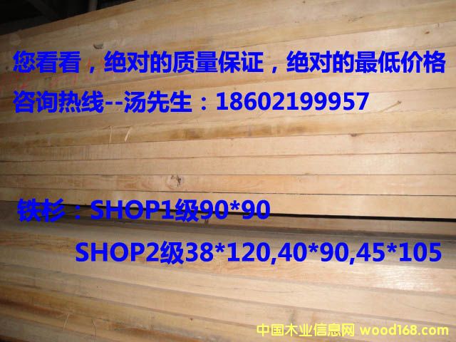 �FɼSHOP2��Ԕ��(x��)��B