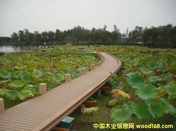 ����ذ�2��Ԕ��(x��)��B