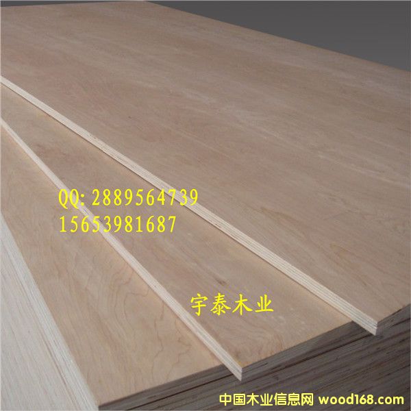 ��ľ���Ӱ� Ư�ט�ľ/�����Ԕ��(x��)��B