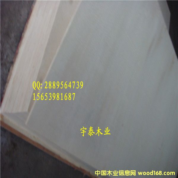 �T(m��n)���ö��Ӱ��Ԕ��(x��)��B