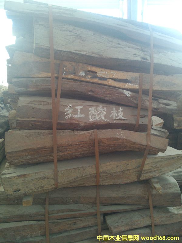 �ϓ��t��֦  �ϼtľ��Ԕ��(x��)��B