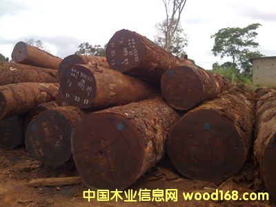 ������Ԕ����B